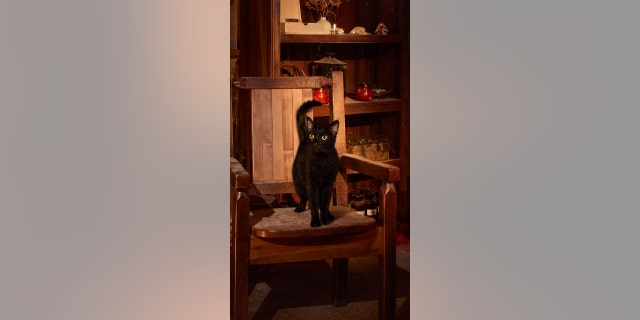 The cottage features a fake cat that resembles the black cat from the classic movie. 