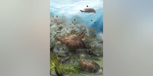This illustration provided by Qiuyang Zheng in September 2022 depicts fauna from Chongqing Lagerstätte, where fossil fish, more than 400 million years old, which were found by researchers in southern China, announced in a series of studies published in the journal Nature on Wednesday, Sept. 28, 2022. 