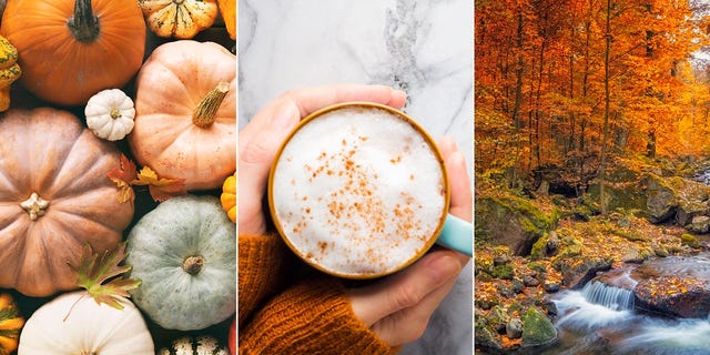 Fall quiz! How well do you know facts about the fall season? 