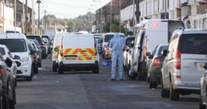 Man in joker mask seen running through garden after 2 killed in triple shooting