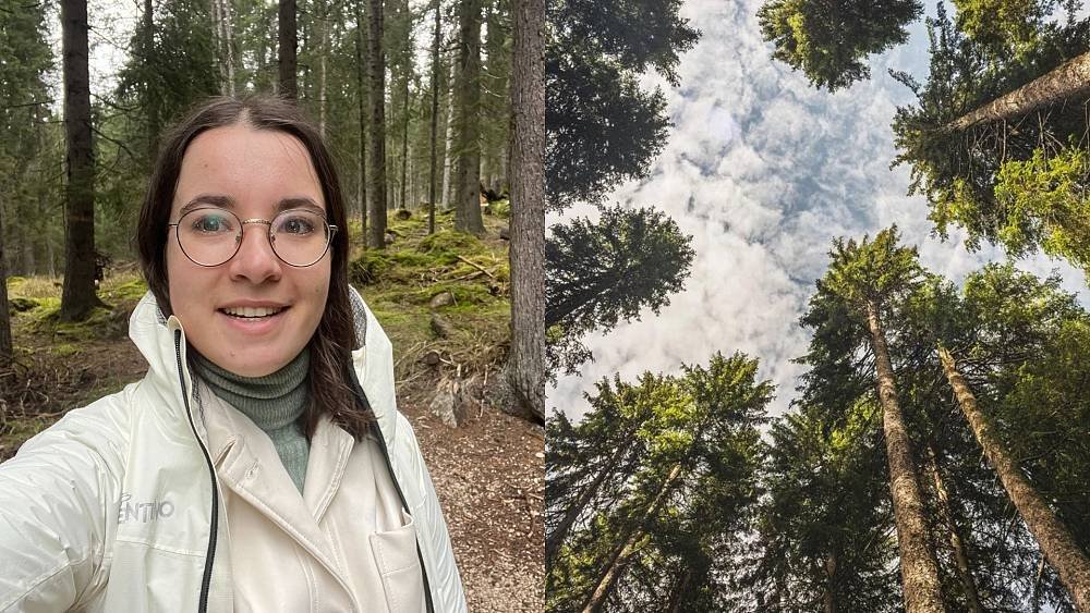 I tried ‘forest bathing’ in Italy: Everything you need to know about the wellness trend