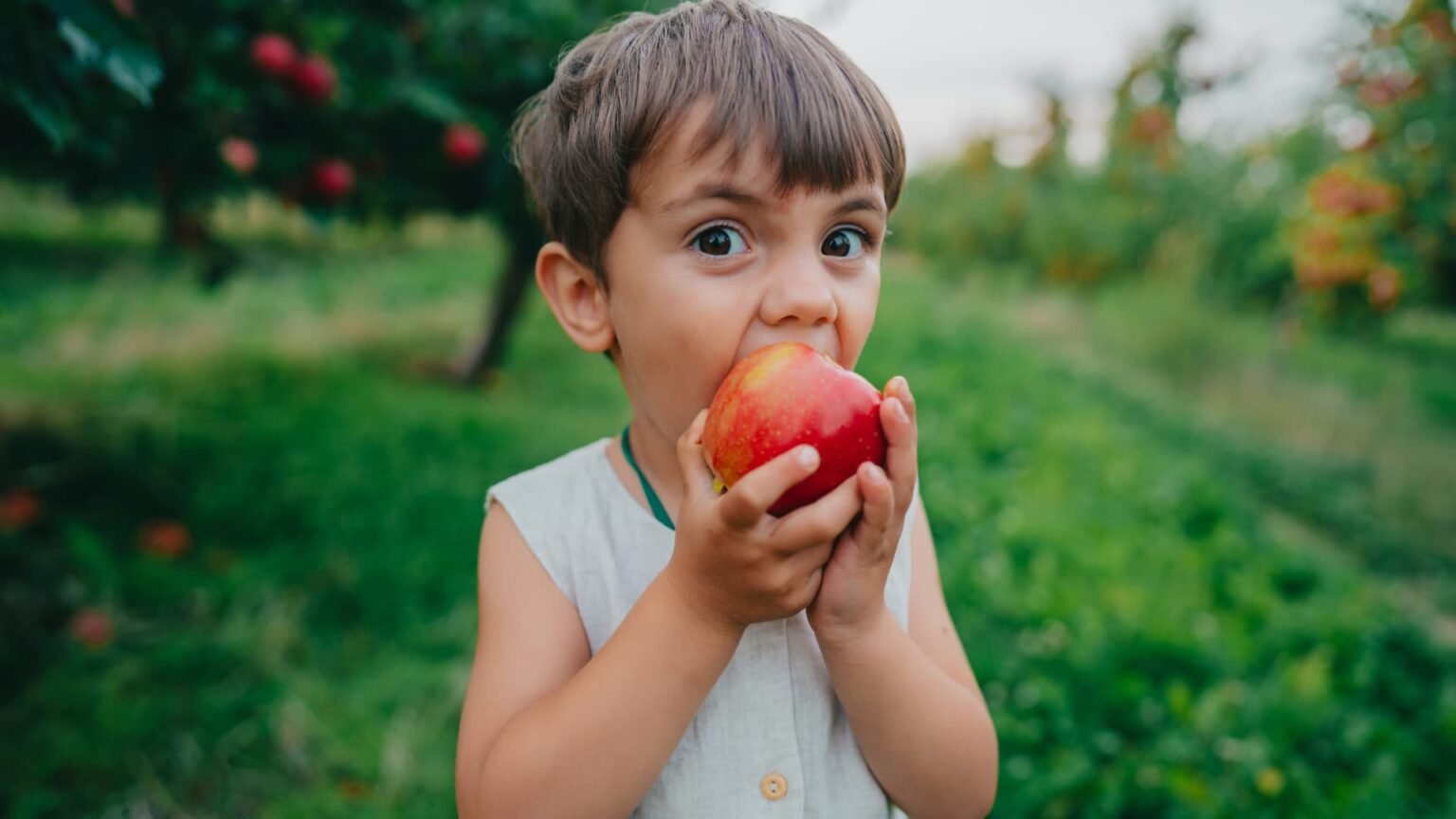A Harvard nutritionist shares 6 brain foods that will help your kids stay ‘sharp and focused’