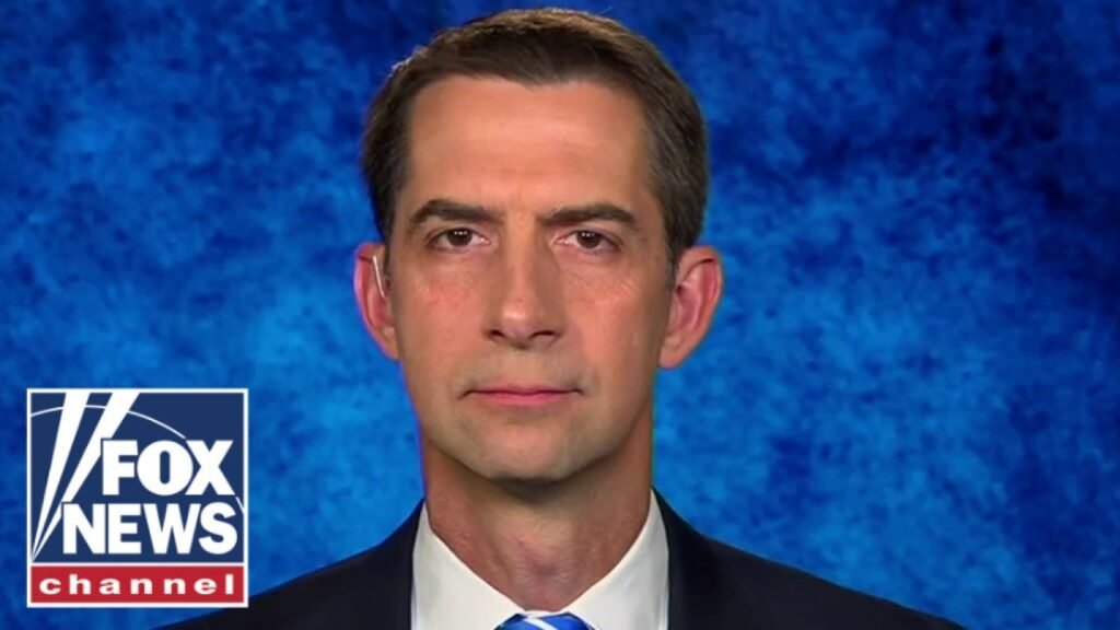 Cotton: Dictators can ‘smell the weakness’ from Biden