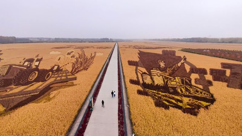 China’s Golden Week spending plunges to seven-year low as zero-Covid batters economy