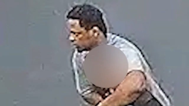 Los Angeles shocking daylight kidnapping of 14-year-old caught on camera before alleged park bathroom rape