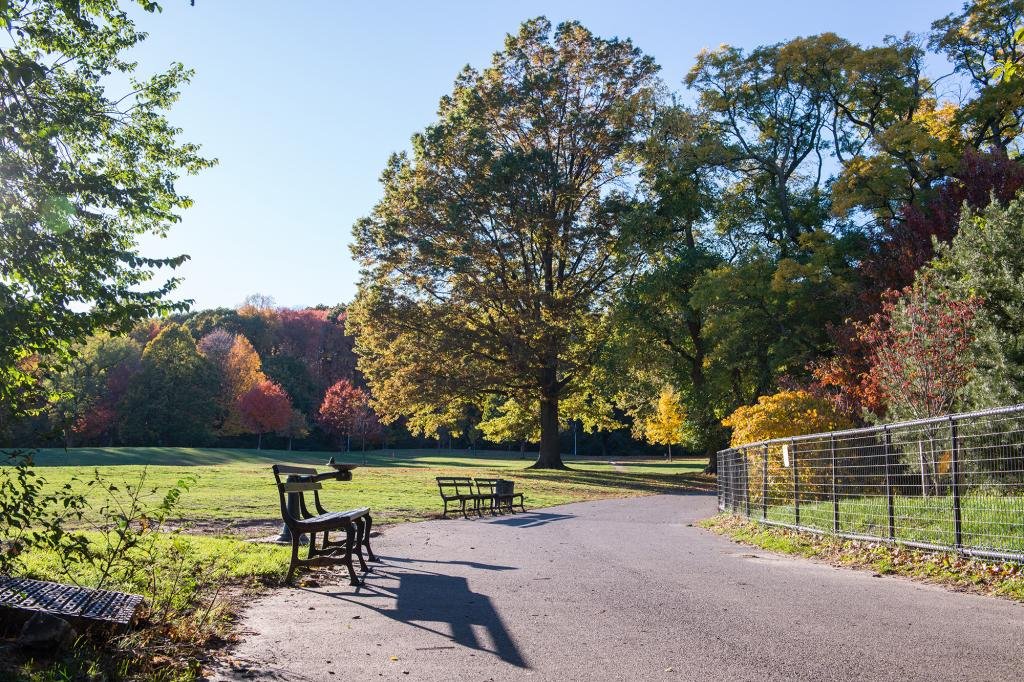 NYC parkgoer beaten with baseball bat in Brooklyn