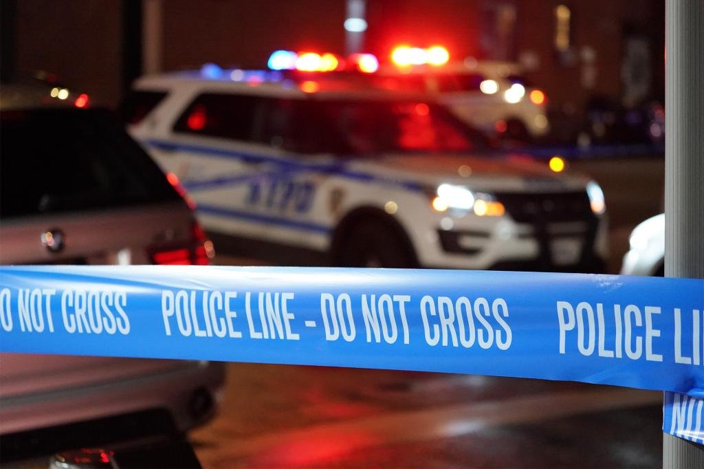 Elderly man fatally shoots 66-year-old brother during dispute in NYC