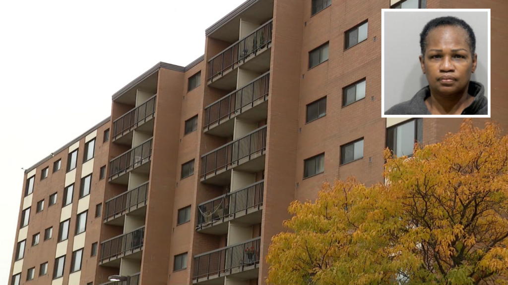 Michigan grandmother allegedly stabbed 2-year-old grandson in head, boy recovering in hospital