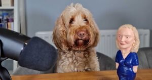 Man mortified after splashing £3.5k on Liz Truss dog toys – only for her to quit