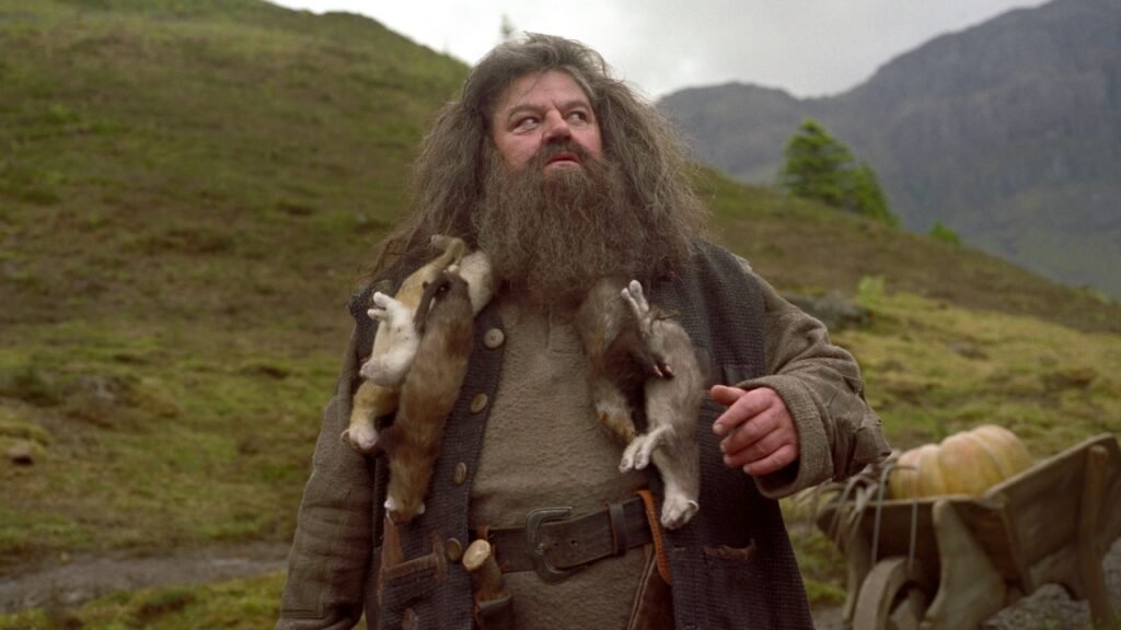 Actor who played Hagrid in Harry Potter franchise dies aged 72