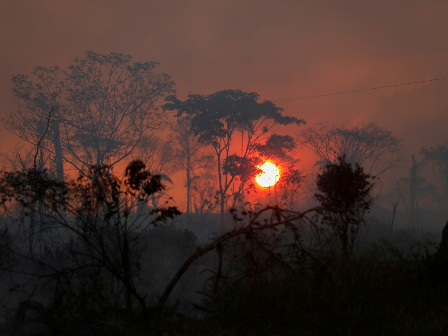 Under Bolsonaro, Amazon deforestation hits new September record