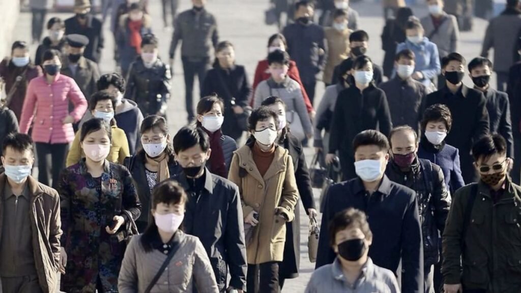 China’s exports of COVID-19 protection equipment to North Korea surge