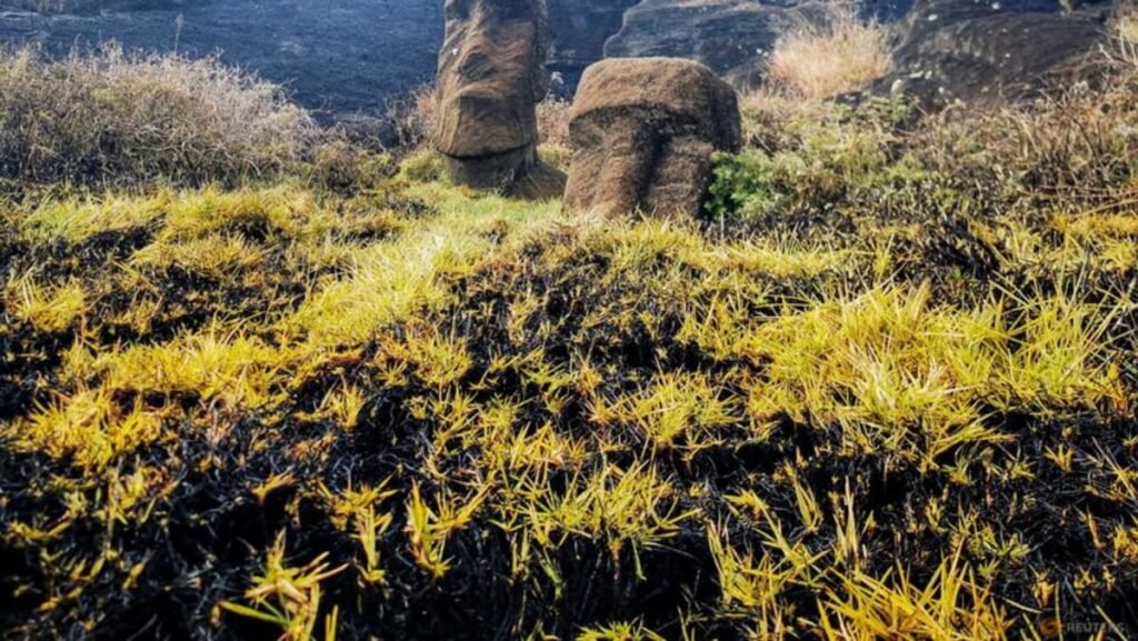 Chile’s Easter Island ‘Moai’ statues face irreparable damage after wildfire