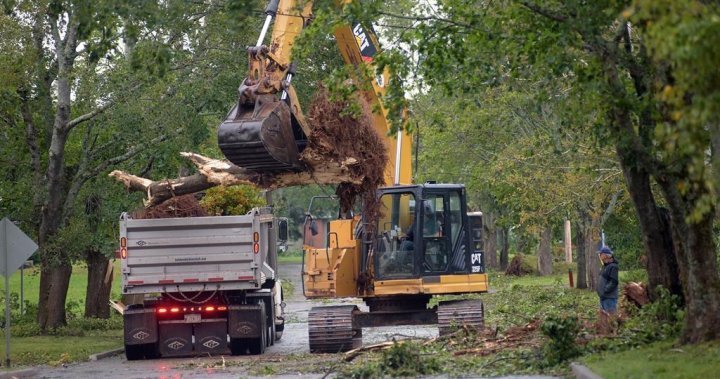‘There’ll be no turkey’: Sombre Thanksgiving for Atlantic Canadians hit hard by Fiona