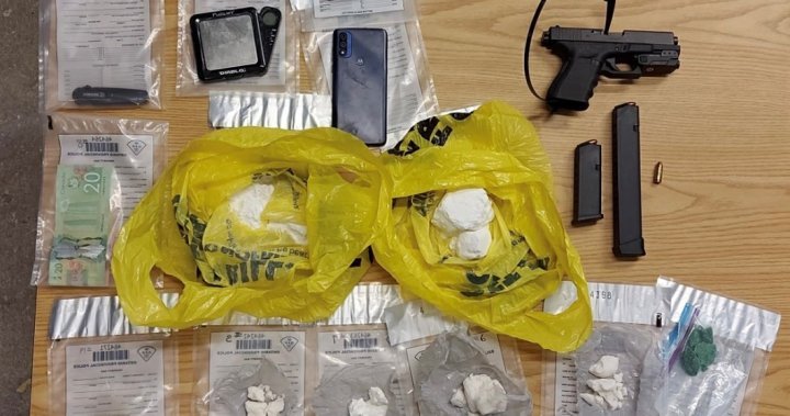 OPP seize multiple guns, ammunition and drugs in Stayner