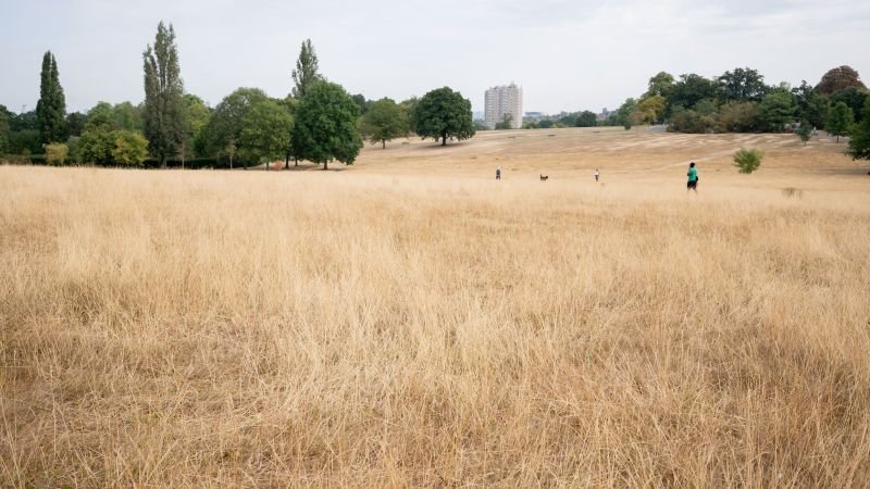 Heat killed the most people in the UK this summer since records began in 2004
