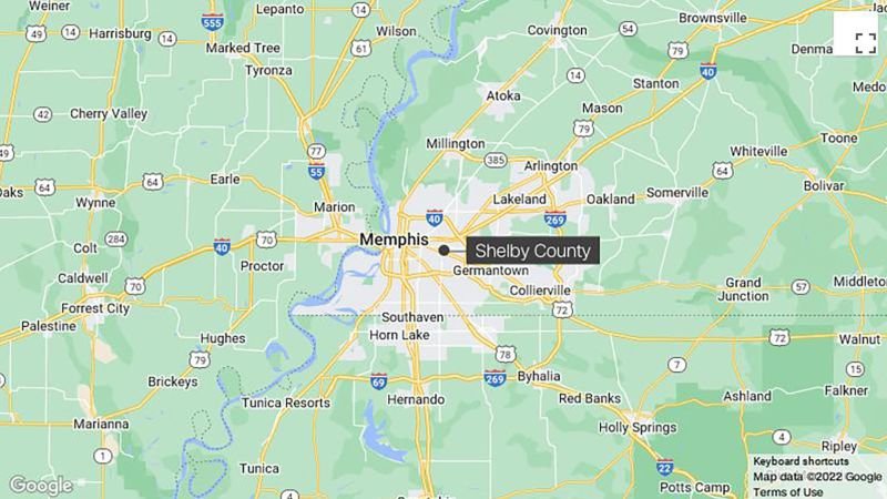 Tennessee dogs attacks: Toddler and baby brother mauled to death