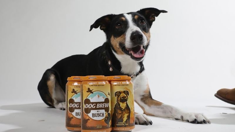 Busch debuts non-alcoholic ‘Turkey Brew’ for dogs