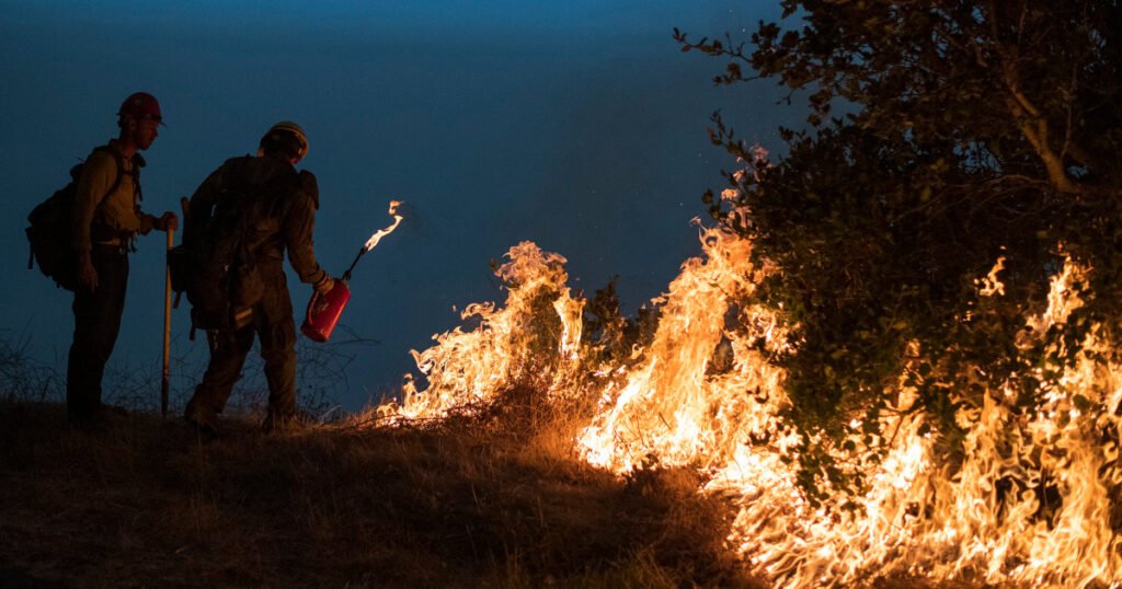 Forest Service ‘burn boss’ arrested after prescribed fire torches private land in Oregon