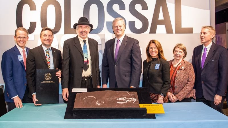 Meet Massachusetts’ new state dinosaur