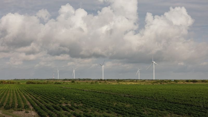 Why investors aren’t going green