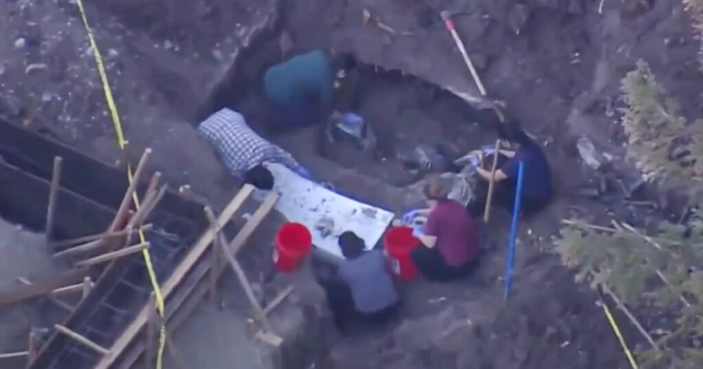 Convertible reported stolen in ’92 found buried in yard of $15 million California mansion