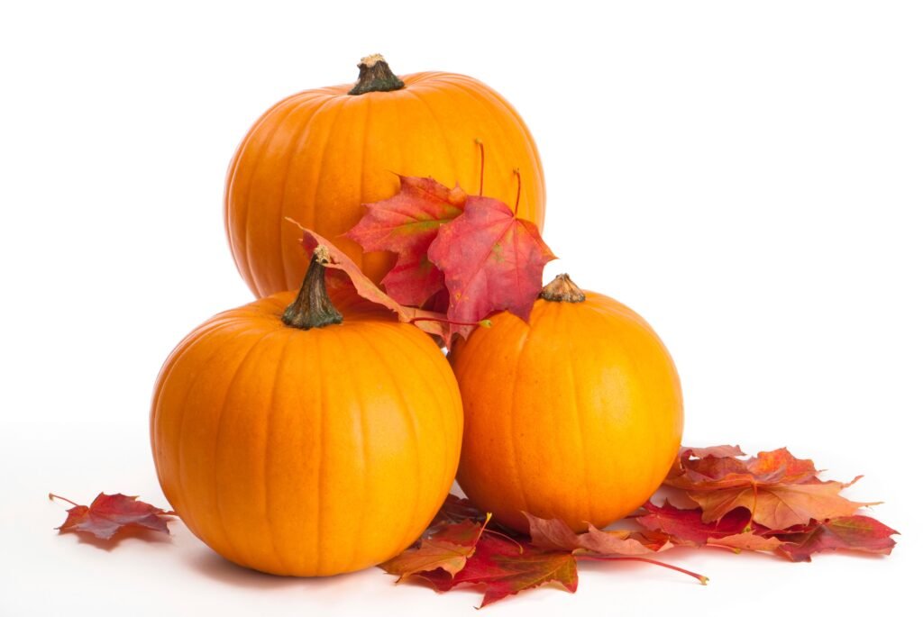 Pumpkin preparation tips — ‘so smart!’ — for Halloween and the fall season