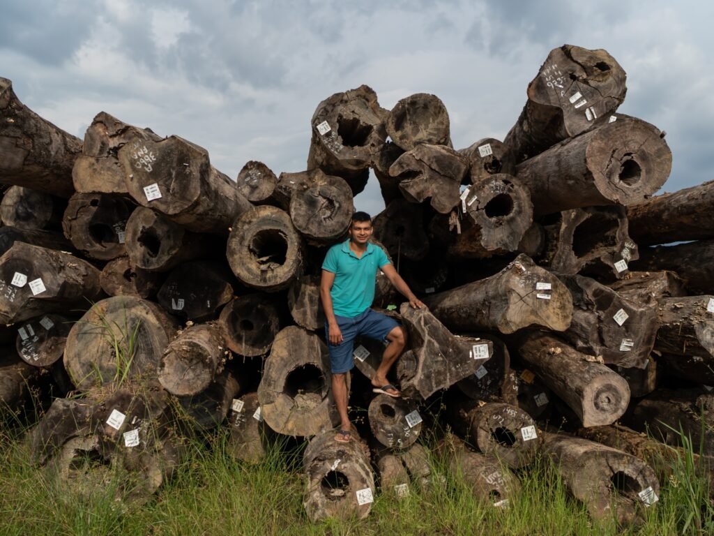 Brazil votes: Amazon loggers hope for Bolsonaro victory