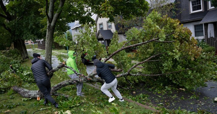 Legislation in N.S. demands telecommunications companies improve storm response