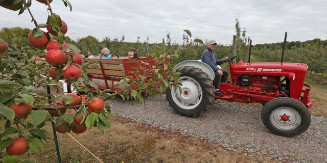 Lowell Johnson of Apple Jack Orchard in Delano, Minnesota, gave Children of Tomorrow Daycare of Waconia a tour of his apple orchard.