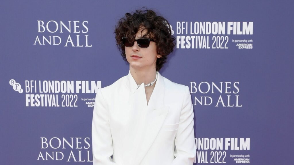 Timothée Chalamet Wears a Skeletal Silver Choker to the London Bones And All Premiere