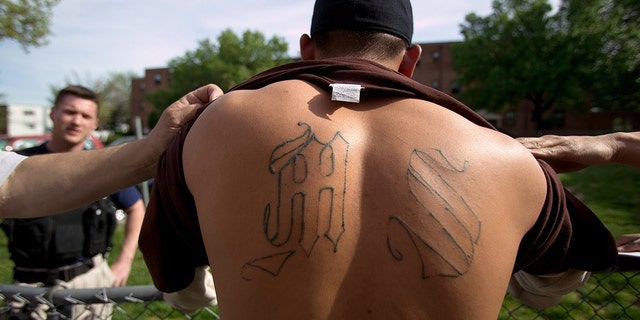 This file photo shows a confirmed gang member of Mara Salvatrucha 13, or MS-13, tattoos being photographed for a police database in Langley Park, Maryland. 