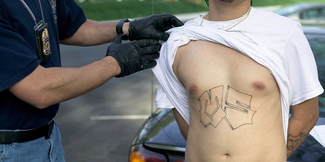 This file photo shows armed police from Maryland's Prince George's County Anti-Gang Unit question and detain a confirmed gang member of Mara Salvatrucha 13, or MS-13, in April 2006 in Langley Park, Maryland. 