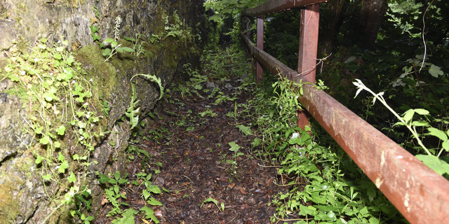 The overgrown path where Deborah's body was found in Salcombe, England.