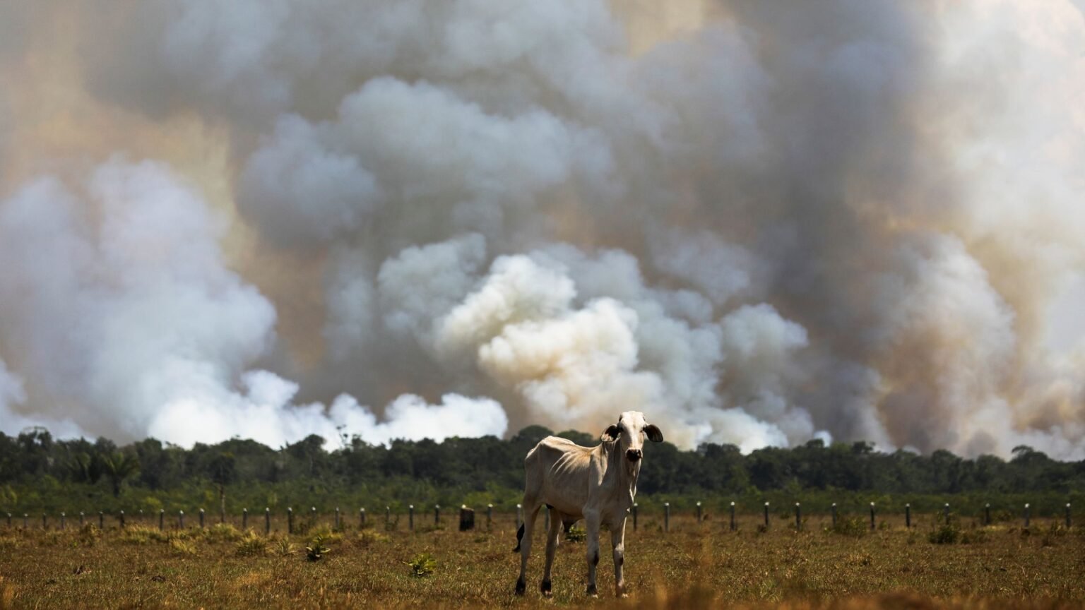 Is the Amazon rainforest at a tipping point?