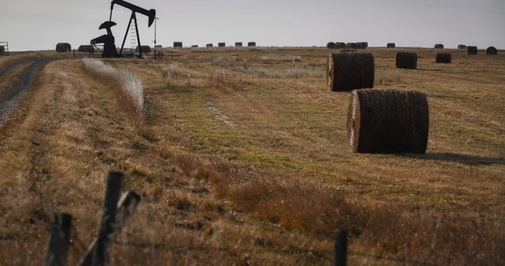 ‘Cautiously optimistic’: How do rural Alberta, Edmonton, Calgary feel about Danielle Smith as premier?