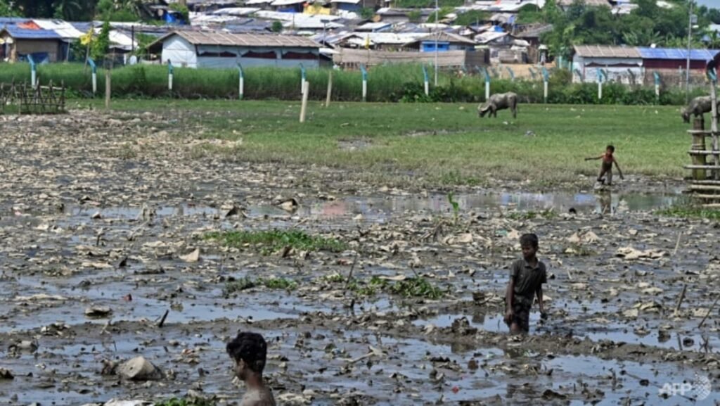 Welcome no more: Rohingya face backlash in Bangladesh