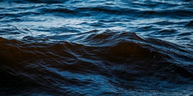 Browne was completely alone for a total of 98 days at sea; he documented the journey on his Instagram and Twitter accounts.