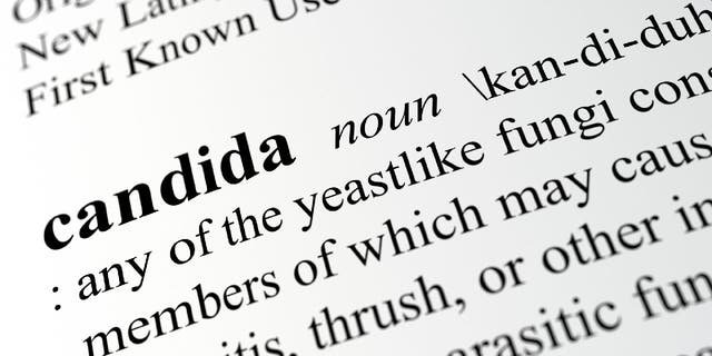 In medical settings, Candida is known as a type of yeast that grows and lives on various body parts. Overgrowth of this yeast can lead to infections.