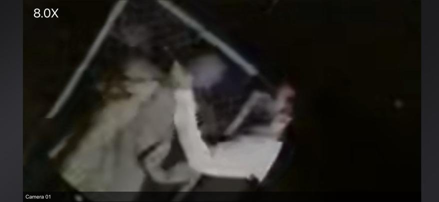 A mysterious thief stole Halloween decorations from an Astoria home.