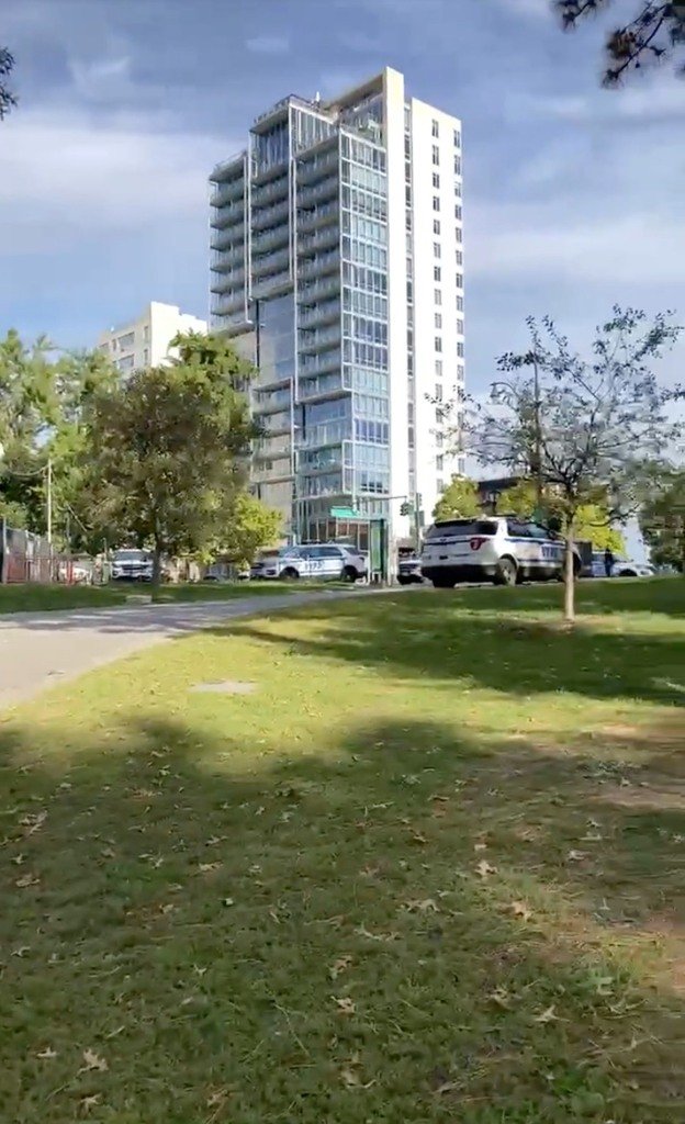 Photo from the scene.