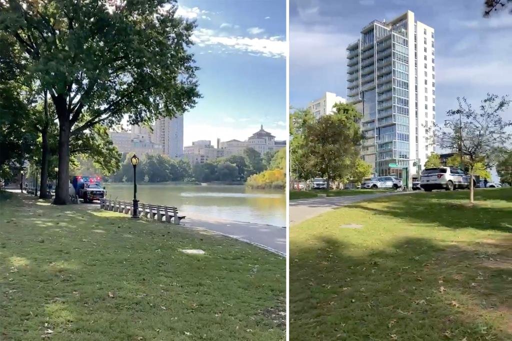 Good Samaritans trying to stop robber tossed into Central Park lake by NYC thief