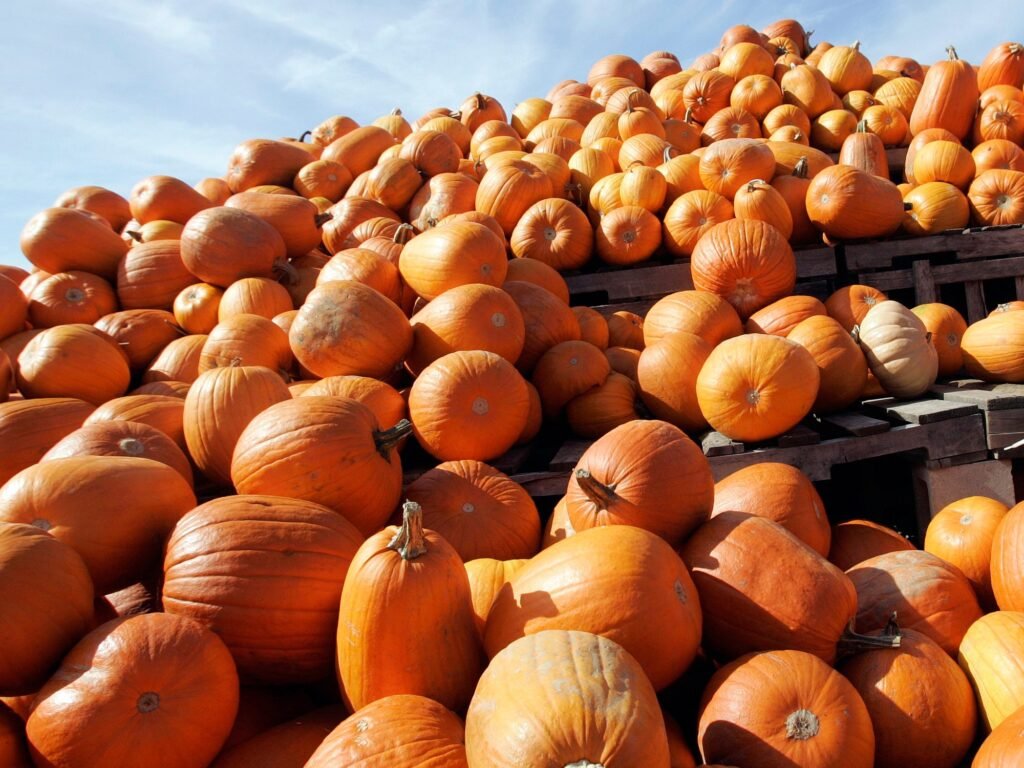 Pumpkin spice is ‘everywhere,’ and now it can be in your kitchen, too