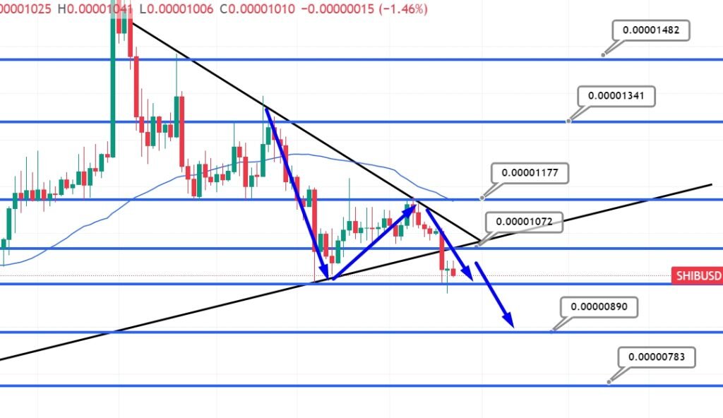 Shiba Inu Price Prediction – Can SHIB Overtake Bitcoin?
