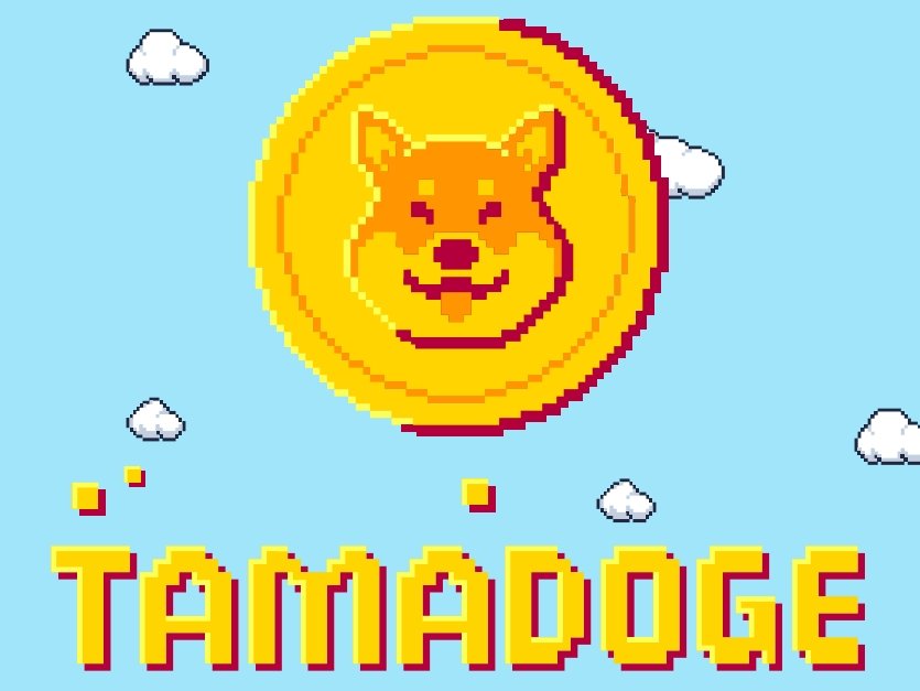 Countdown Begins for Tamadoge Common NFT Drop – How to Buy?