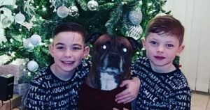 Mum tells children ‘Christmas is cancelled’ after she’s hit with £8,000 vet bill