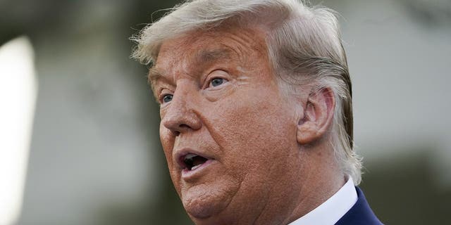 FILE - In this Friday, Nov. 13, 2020, file photo, President Donald Trump speaks in the Rose Garden of the White House, in Washington. (AP Photo/Evan Vucci, File)