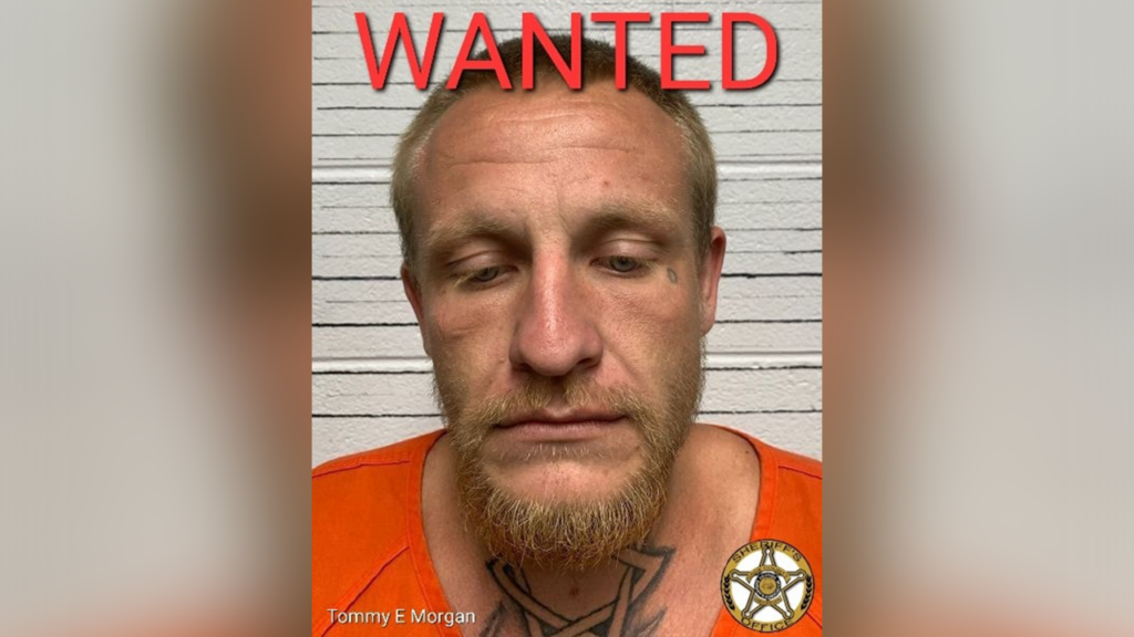 Georgia man stole patrol car while under arrest, police searching for suspect