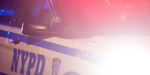The New York Police Department said the suspect was a female around 25-years-old. They described her as being 5'5" and around 125 pounds, with a thin build and black dreadlocks.