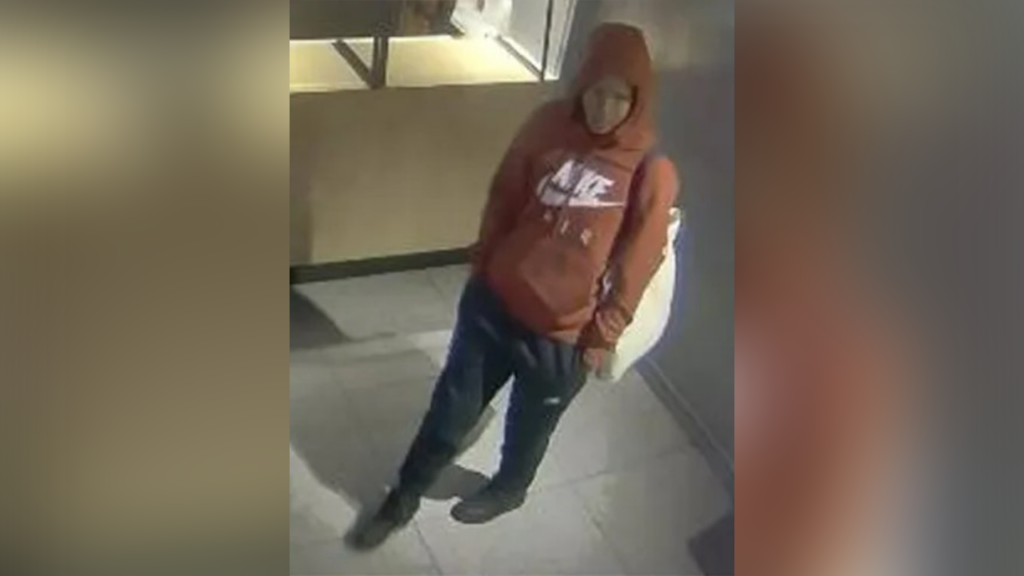 New York woman tased, robbed Uber driver after ride